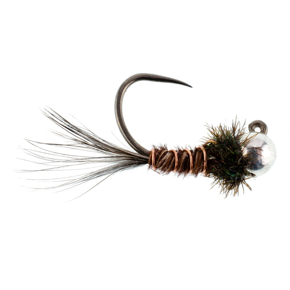 Tungsten Bead Pheasant Tail Tactical Jig Czech Nymph Euro Nymphing Fly - 1 Dozen Flies Size 14 - Get Tight Gear