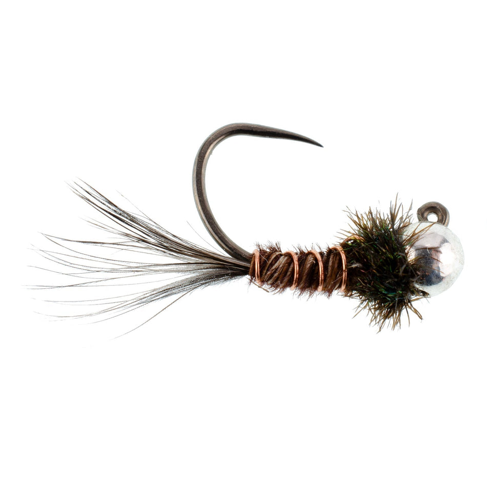 Tungsten Bead Pheasant Tail Tactical Jig Czech Nymph Euro Nymphing Fly - 6 Flies Size 16 - Get Tight Gear