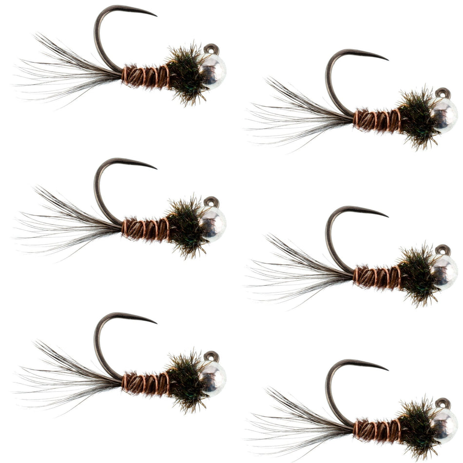 Tungsten Bead Pheasant Tail Tactical Jig Czech Nymph Euro Nymphing Fly - 6 Flies Size 16 - Get Tight Gear