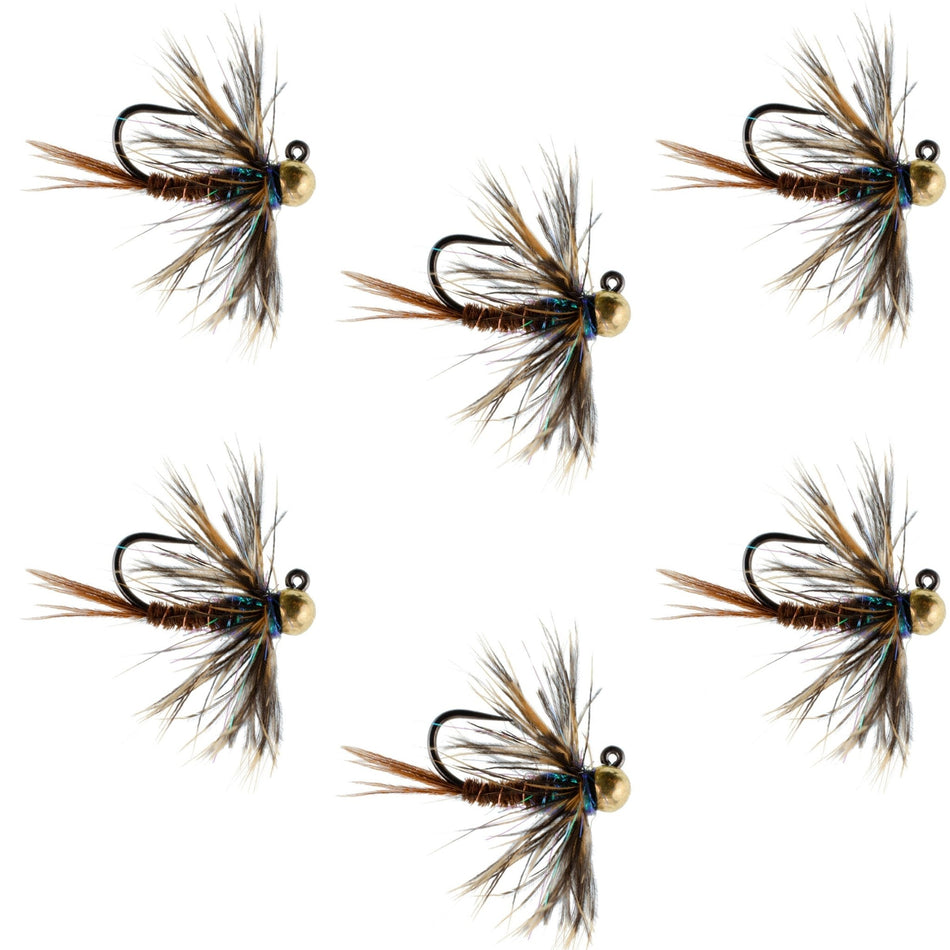 Tungsten Bead Soft Hackle Pheasant Tail Tactical Jig Czech Nymph Euro Nymphing Fly - 6 Flies Size 12 - Get Tight Gear
