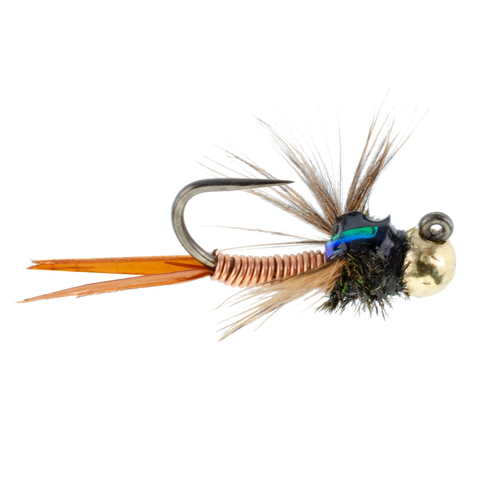 Tungsten Bead Tactical Jig Copper John Czech Nymph Euro Nymphing Fly - 6 Flies Size 12 - Get Tight Gear