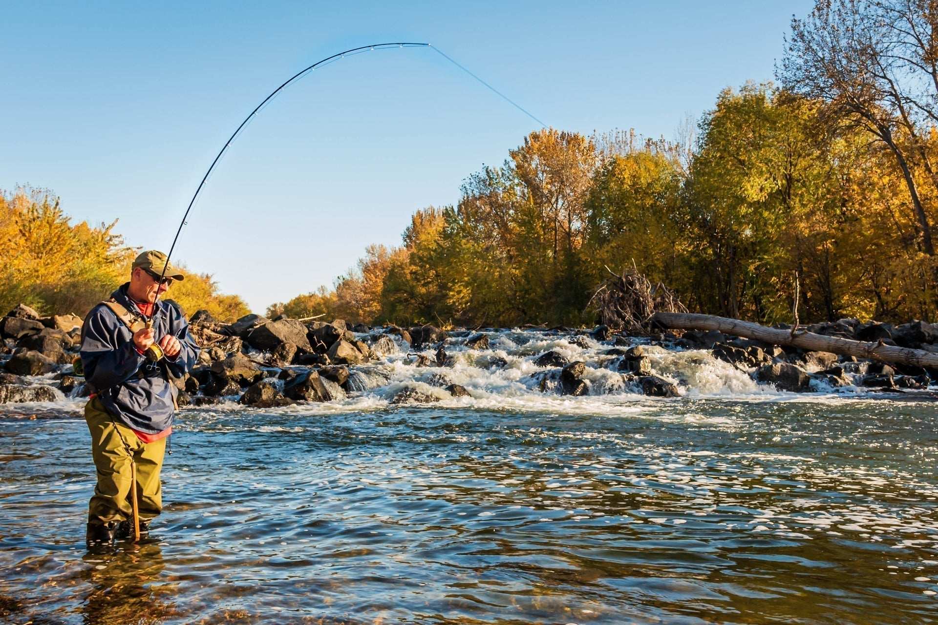 Tungsten Bead Tan Mop Fly Tactical Jig Czech Euro Nymph Barbless Fly 6 Flies - Size 14 - Get Tight Gear