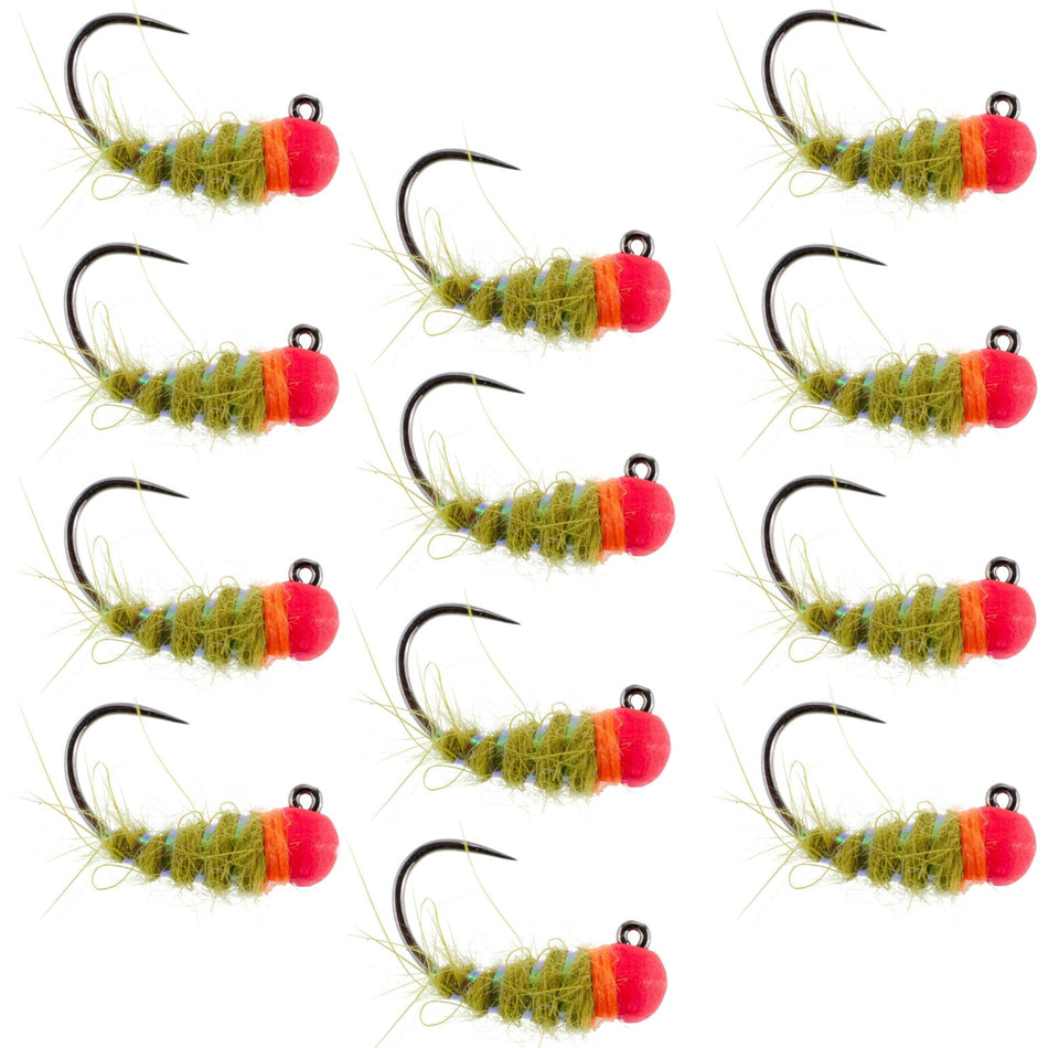 Tungsten Hot Bead Walt's Worm Jig Tactical Czech Nymph Euro Nymphing Fly - 1 Dozen Flies Hook Size 12 - Get Tight Gear