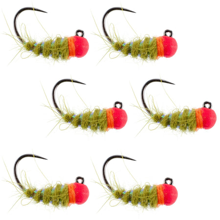 Tungsten Hot Bead Walt's Worm Jig Tactical Czech Nymph Euro Nymphing Fly - 6 Flies Hook Size 16 - Get Tight Gear