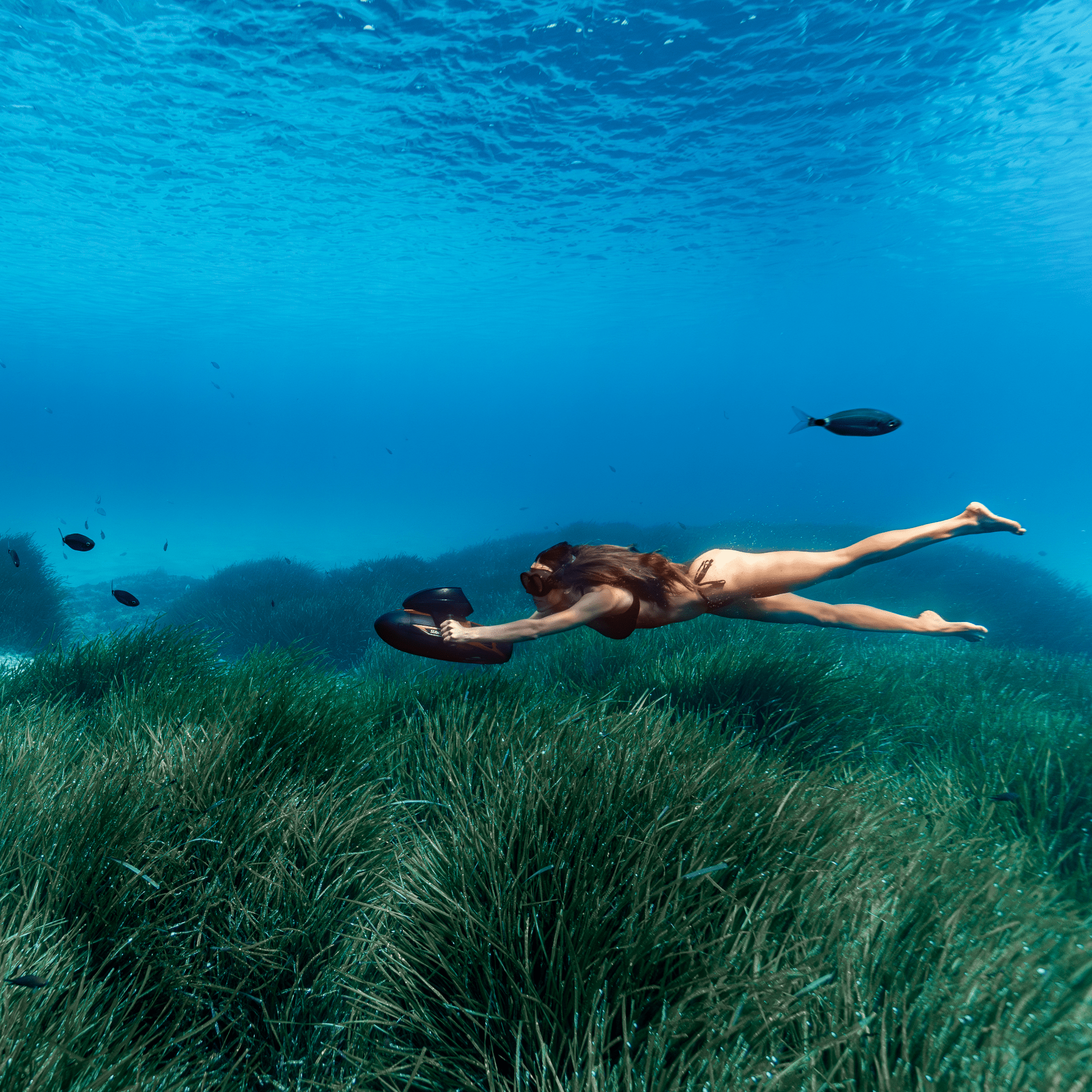 Vapor - Get Tight Gear