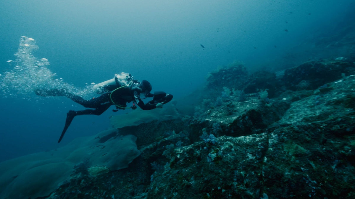 Vapor - Get Tight Gear