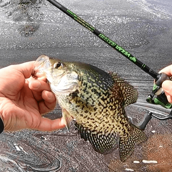 VEXAN® Crappie Rods & Panfish Rods - Get Tight Gear