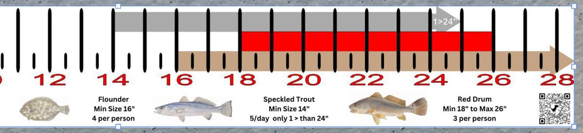 Virginia Inshore Fishing Slot Ruler Decal - Get Tight Gear
