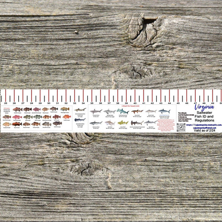 VIRGINIA SALT WATER RULER 50 INCH FISH ID AND STATE REGULATIONS FISH RULER DECAL - Get Tight Gear