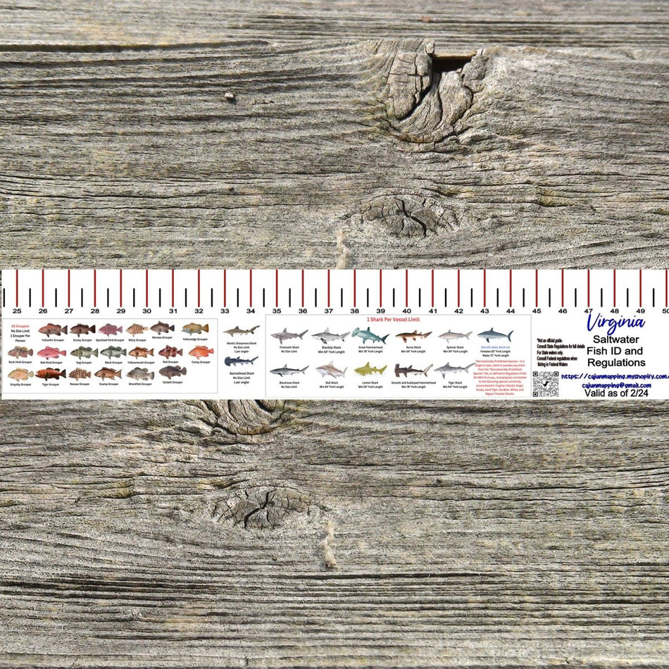 VIRGINIA SALT WATER RULER 50 INCH FISH ID AND STATE REGULATIONS FISH RULER DECAL - Get Tight Gear