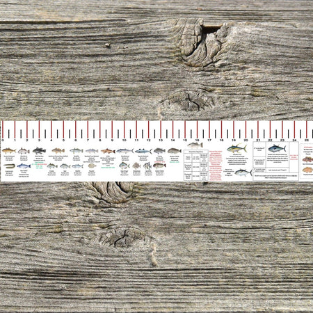 VIRGINIA SALT WATER RULER 50 INCH FISH ID AND STATE REGULATIONS FISH RULER DECAL - Get Tight Gear