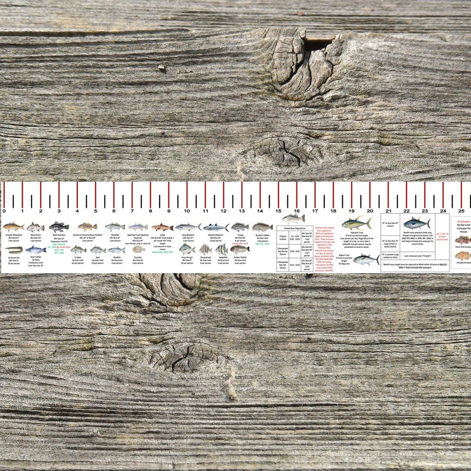 VIRGINIA SALT WATER RULER 50 INCH FISH ID AND STATE REGULATIONS FISH RULER DECAL - Get Tight Gear