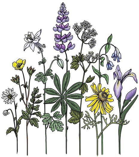 Wildflowers - Get Tight Gear