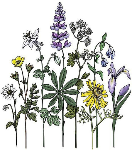 Wildflowers - Get Tight Gear