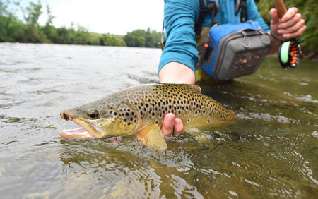 Yellow Humpy Classic Hair Wing Dry Fly - 6 Flies Hook Size 14 - Get Tight Gear